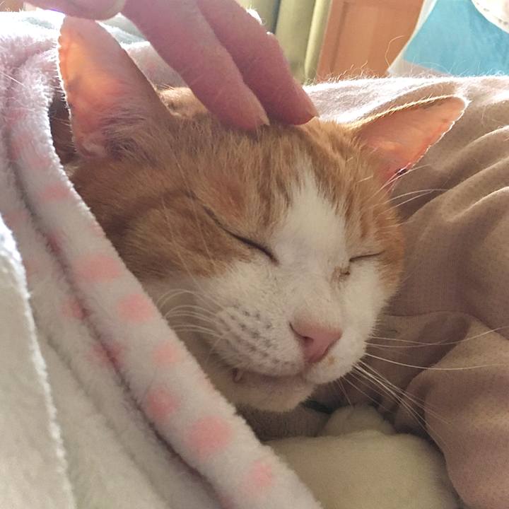 40f2cd8b 9bd6 432e 9a4e e62b00646a0b 1620632103561