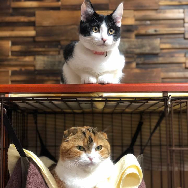 40f33838 fe12 4d43 b5dd b13b4c40c733 1615026918628