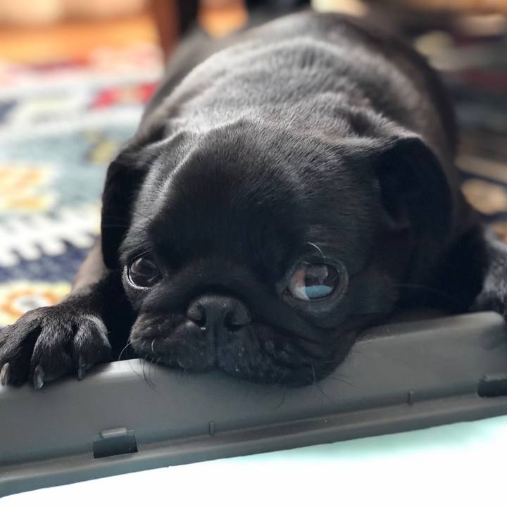 40f3580d b6ea 46e5 aa03 c1d57a633fcb 1603200065219