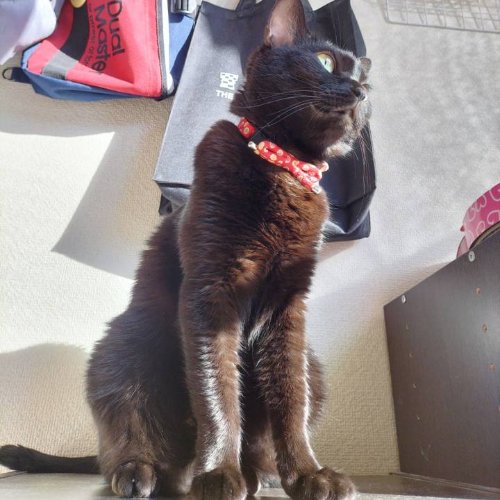 40f3b6f2 e5de 43e6 bb1b 33e3314ed4e6 1667002369539