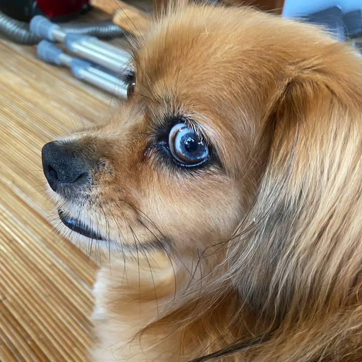 40f3baa3 2816 4db3 b2bf 1ca5863d3c46 1663460337033