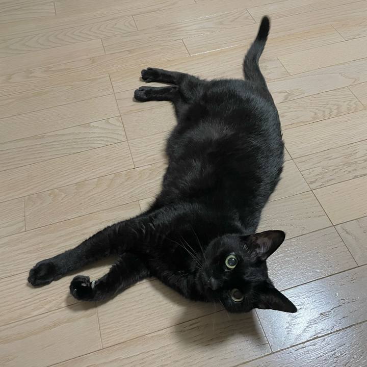 40f3c331 90c2 4b4f 9218 60cb53344b15 1750163584617