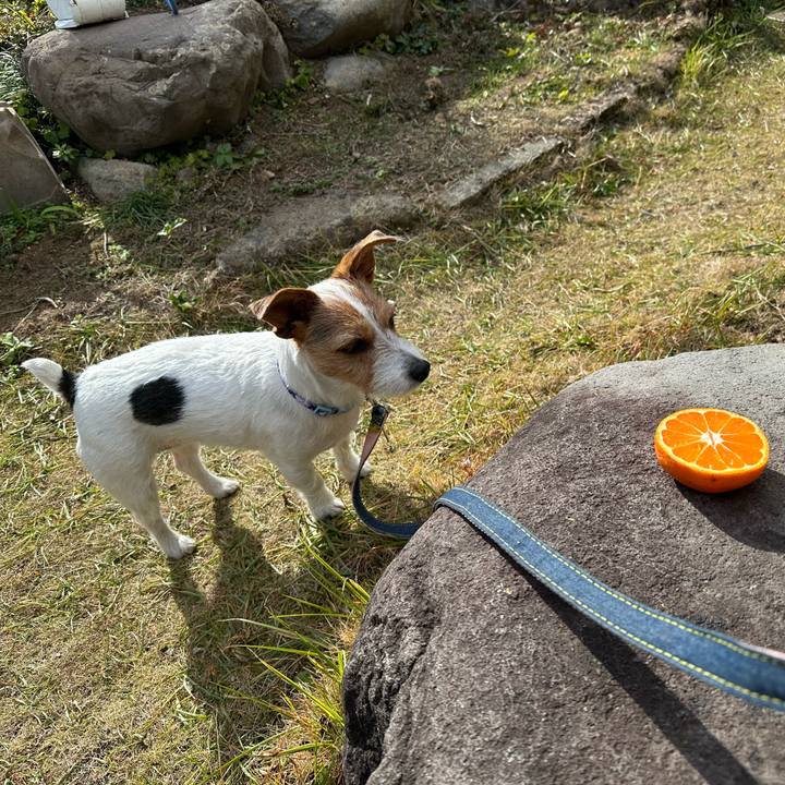 40f3fd3d 4459 48a7 8b21 d9dee755e462 1769314787045