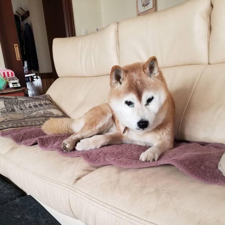 40f40814 a60c 4bed 95a4 780926ff83c5 1745107538168