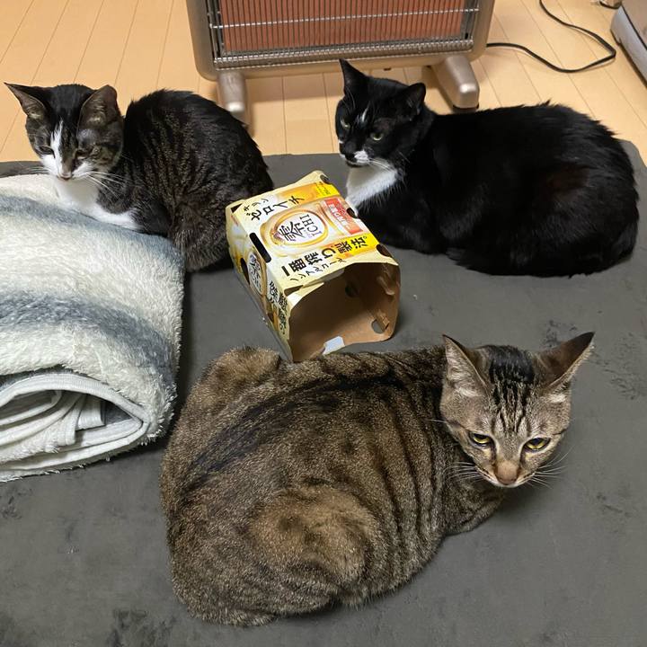 40f46cb7 2583 4e33 a479 59354be85f50 1673881227552