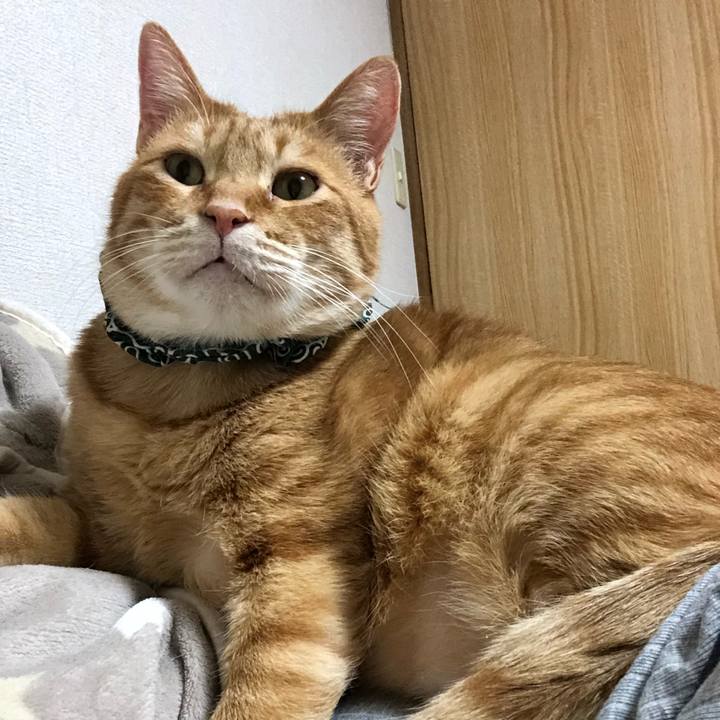 40f47600 78b6 4ca0 a121 3062172e48db 1581171559456