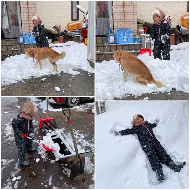 40f497b7 fe94 4563 a5aa 9de6fd204d6c 1771463310976