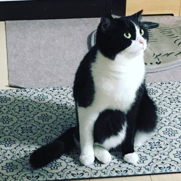 40f4c5e8 d6aa 4c18 8904 9e4d2b54aa1b 1621158783925