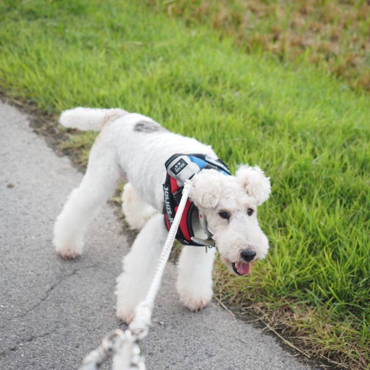 40f4cf05 6412 4db7 9069 d8844606d721 1569329444441