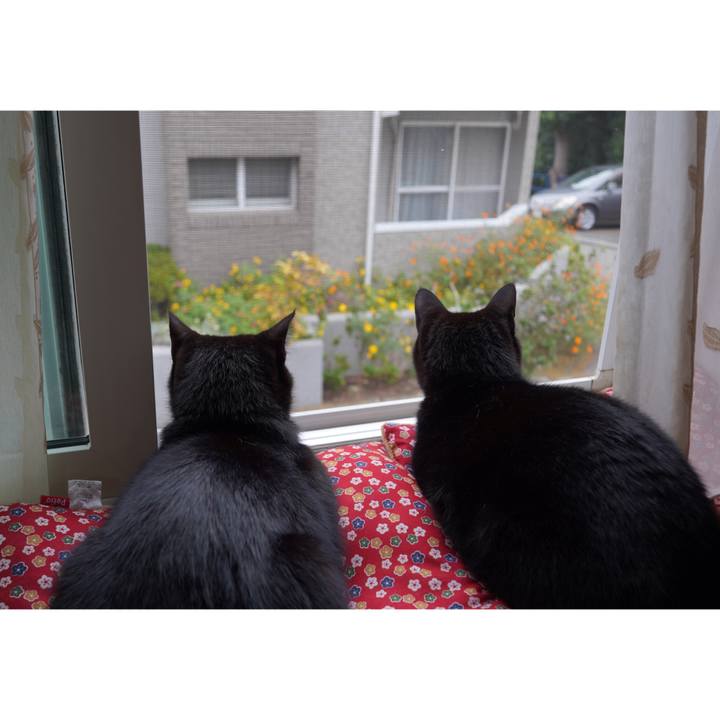 40f4d878 39b9 4aa8 926b 24dda5a2d379 1603428163902