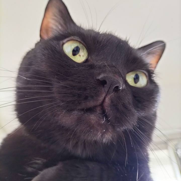 40f518d4 0764 43b6 9e61 a7d362da69dd 1689982245150