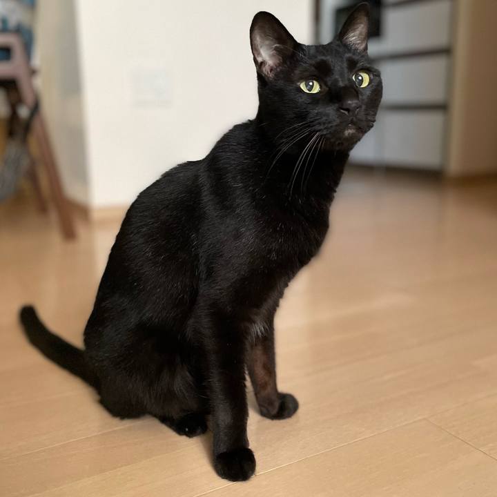 40f51ce6 e55a 4613 bf56 5bd2552efff7 1660142491221