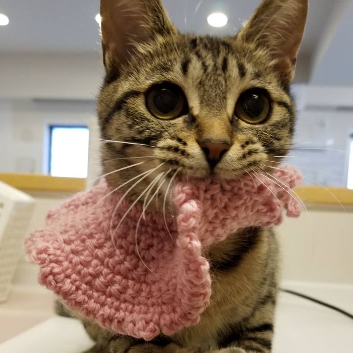 40f51fdc 37d7 4a2b b531 b5d5b88d475f 1551700424379