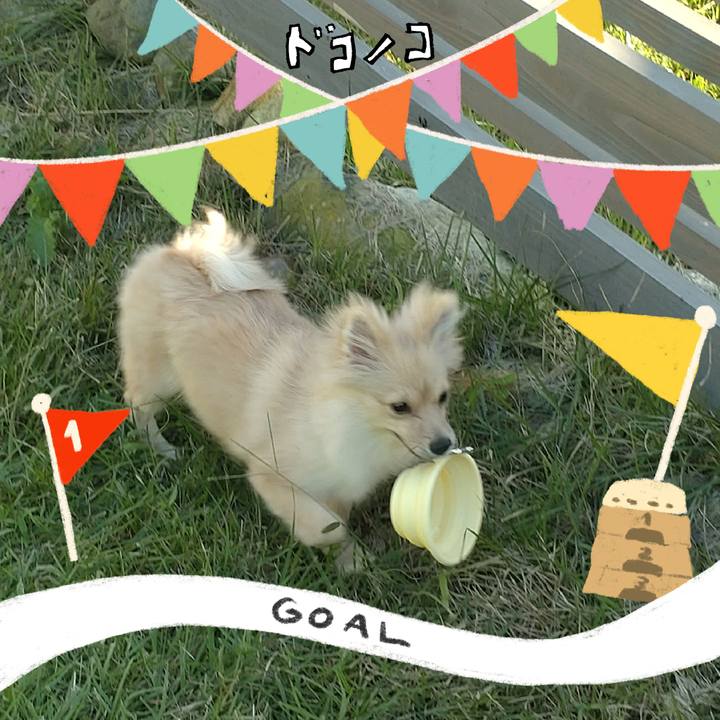 40f5797d 563e 4963 a876 d6e7014c5fc7 1729293995389