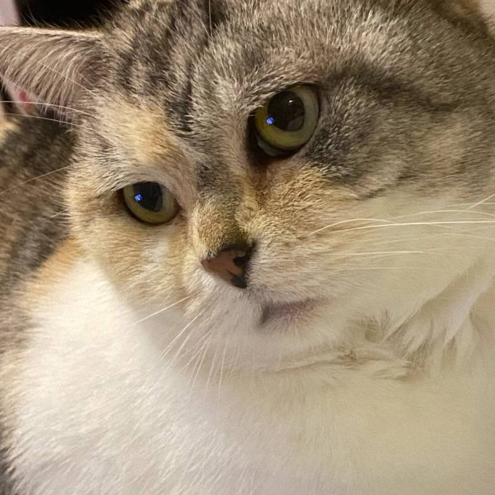 40f5aa6d e7ff 4813 8a77 ced4e312a292 1647878981450