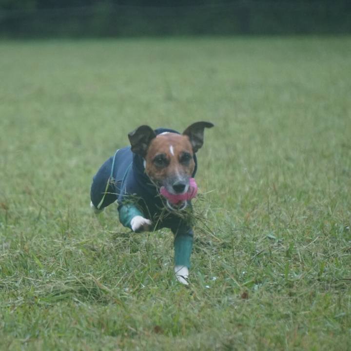 40f5def9 5964 4d31 801d 9781fd76615d 1538779596750