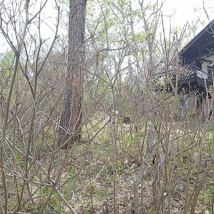 40f64da5 f3d7 4585 b9b9 20c3858bea79 1525587233444