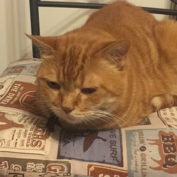 40f6856f 3ea9 4237 9efb 1924151928e5 1561467370914