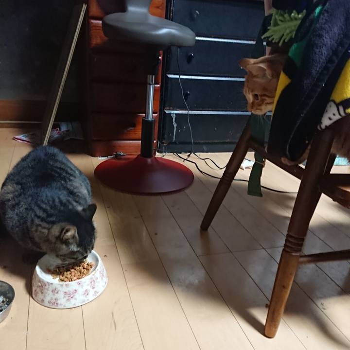 40f6c241 42ff 4cf5 9141 1b7ffe5890c0 1637095977603