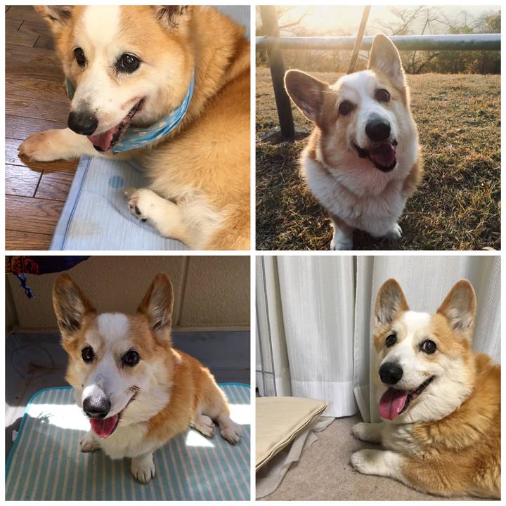 40f6ca50 e014 45fb b820 9b2bd5bcfec8 1563281058041