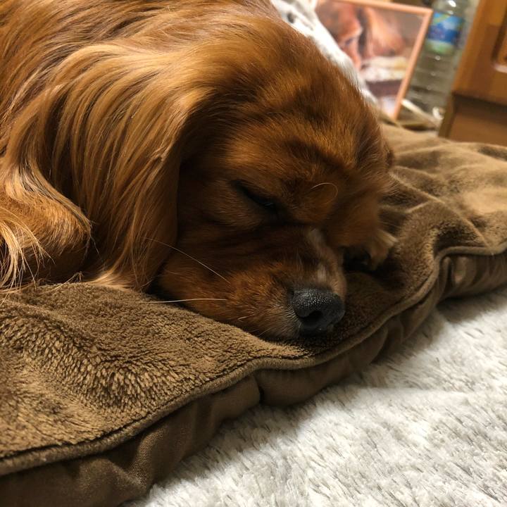 40f6e8c0 9569 430e 8e26 4c8d304e2b67 1578608598285