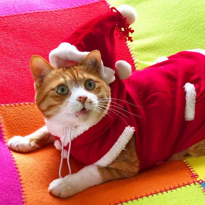 40f7030e f0cd 4b49 81d4 a85cdc9d0bc8 1577285648553