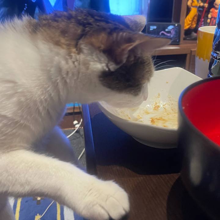 40f72efc 4e9b 4289 b307 13163498d312 1637156520930