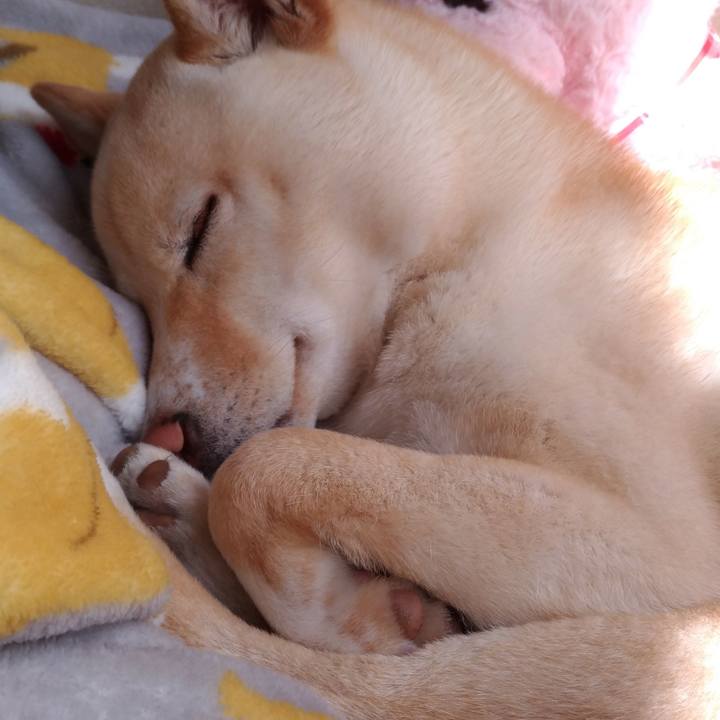 40f7335c e0fa 4449 a366 69b65d4cc7b9 1520826014715