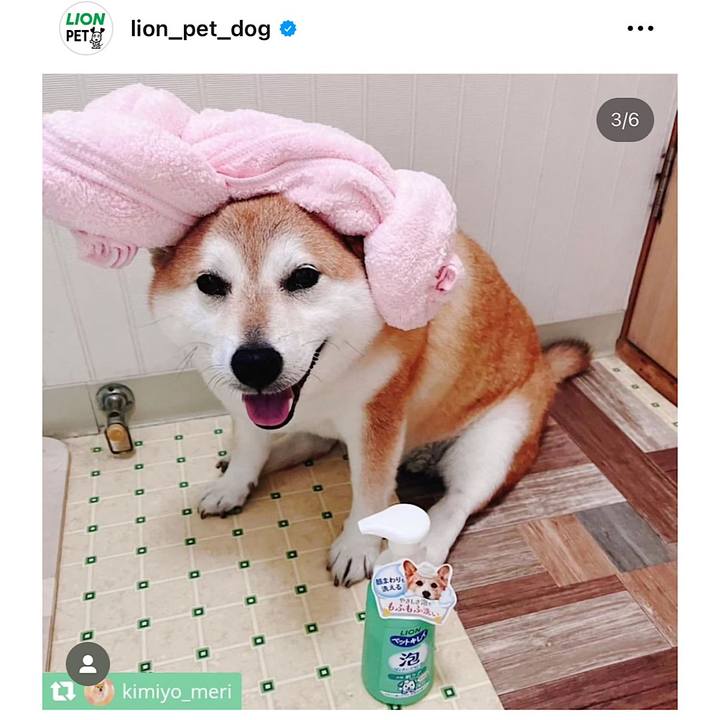 40f740f3 4afe 4ac8 bd7e d035c9ec27af 1688120164049