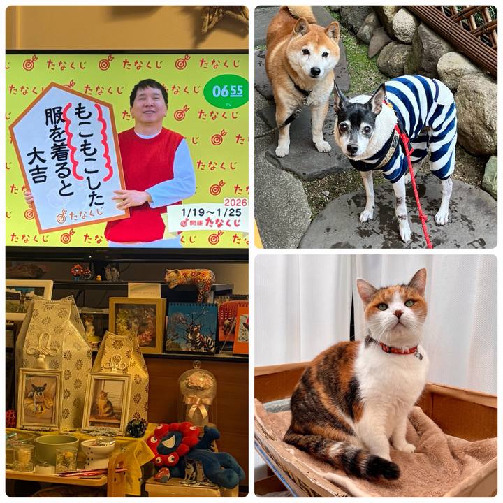 40f77820 bf18 4f75 8d66 bcd1b4065d8f 1768773838279