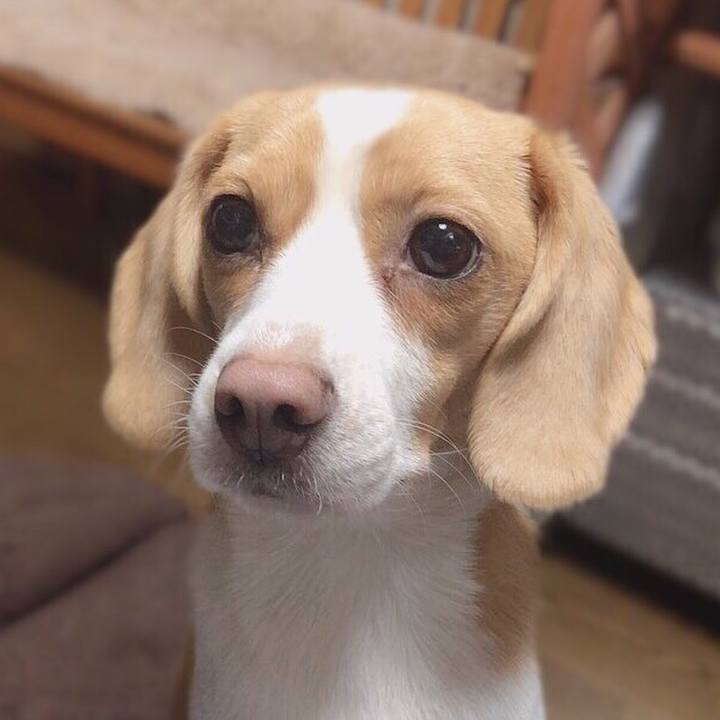 40f803d7 d3e3 4462 8538 32a1e8e1c9cf 1549101493954