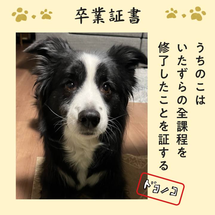 40f812f8 d04c 4835 a8c2 e300cfed3031 1772028128539