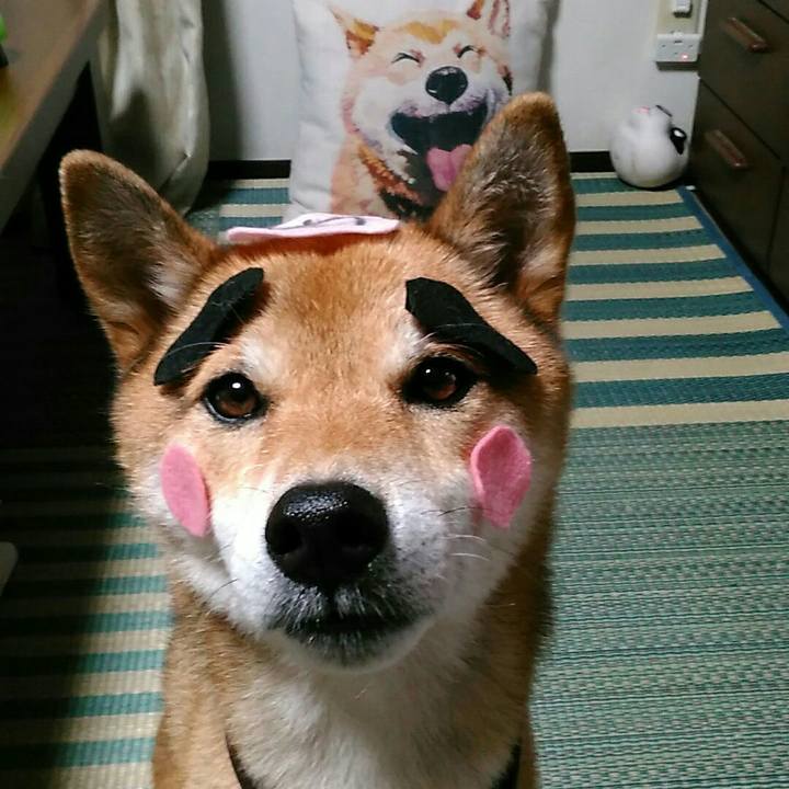 40f87938 5d61 4059 8381 2d60ecb9784e 1567073002372