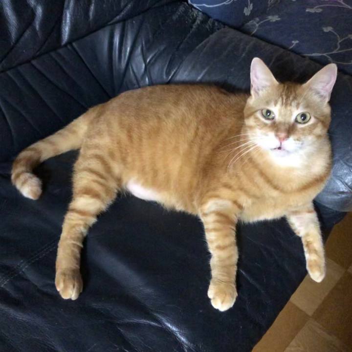 40f88c71 58a9 43e2 8c9e 2f66bf94c4e2 1598616082539