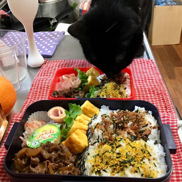 40f8965c 5d9b 4b29 aeb3 b2b32e4ba198 1522379492493