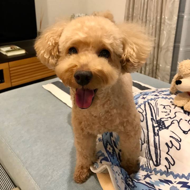 40f8b804 731d 4192 98fb 806a8b972f87 1601371973809