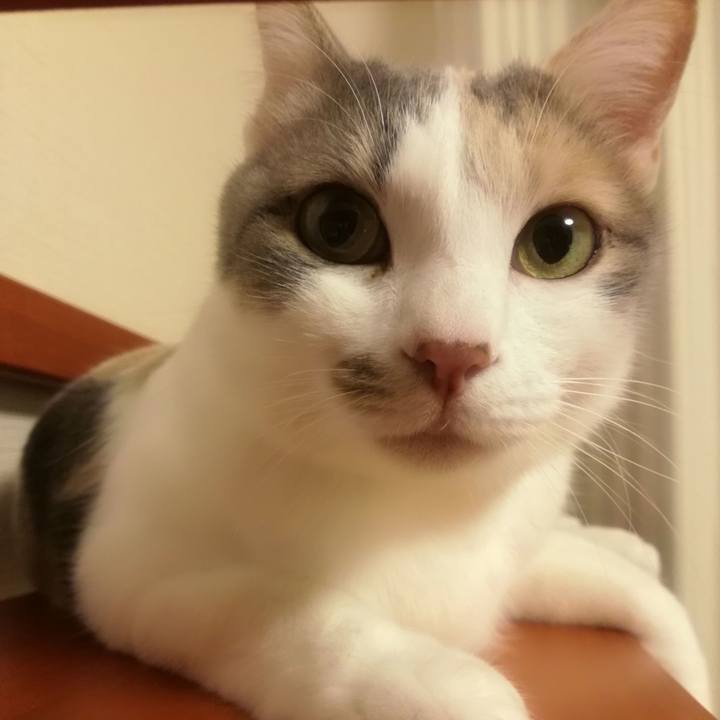 40f8d47e 1207 46f0 8cc7 96008f880f63 1552991239347