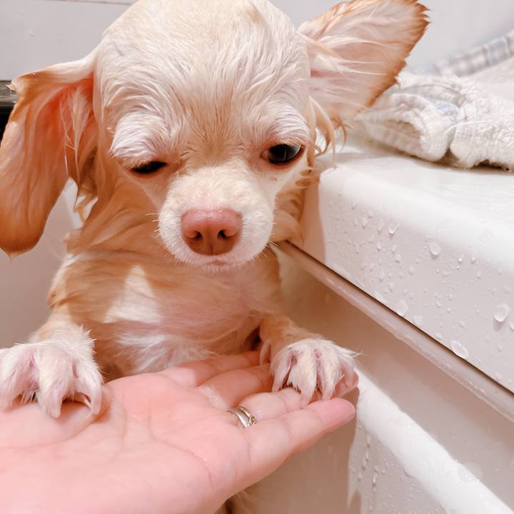 40f8d49e c111 43af 86b1 49bf09f77330 1661926024385