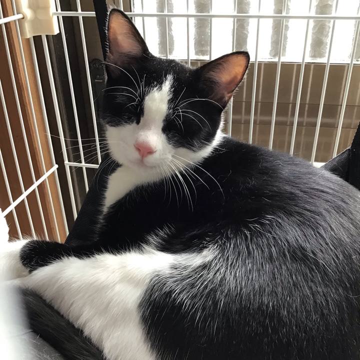 40f8d77b a2b8 42e5 84fa eecfa8ccac31 1632818204638