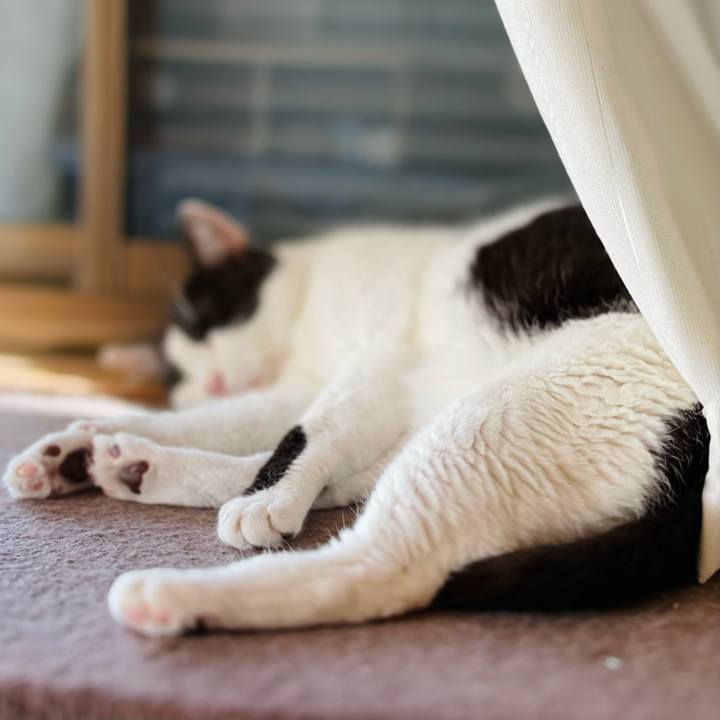 40f8d9cd 8a42 4bdb a8c7 a17dd400c2bc 1632276064955