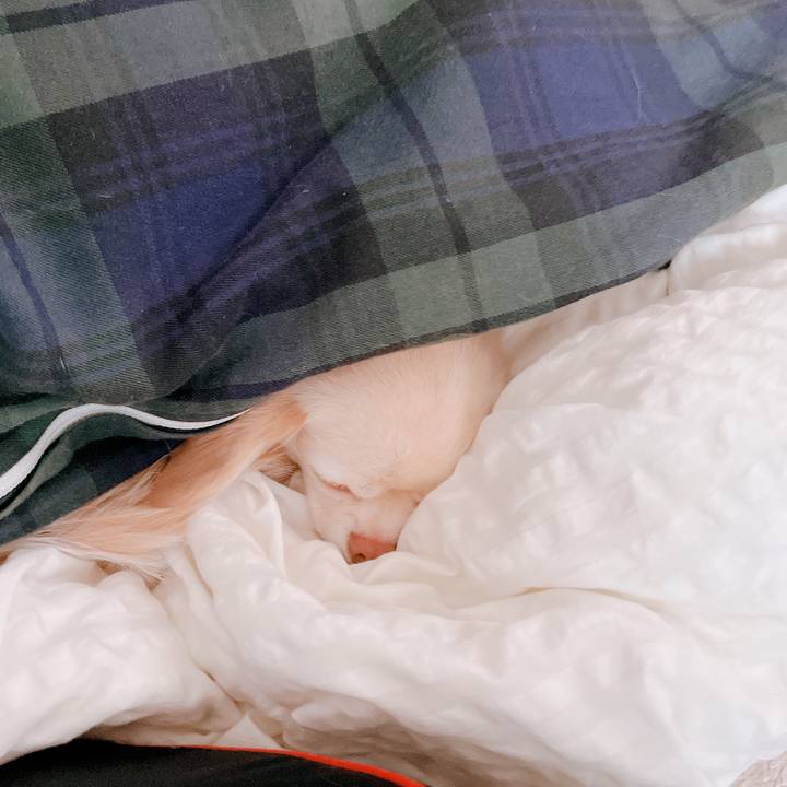 40f8d9f7 0967 4009 bfb3 c4814bce4bcb 1671518309591