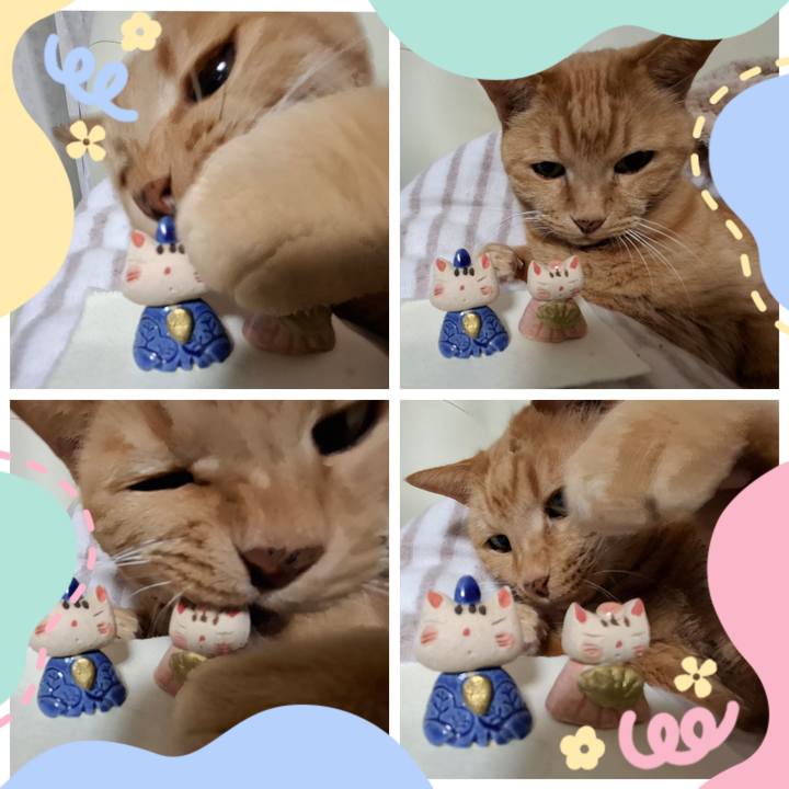 40f90de7 ebe4 41fd b8c0 d43864cd0073 1741010316367