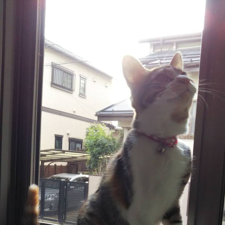 40f91bd0 a0a1 4b11 8118 498ce7f34fec 1633848759206