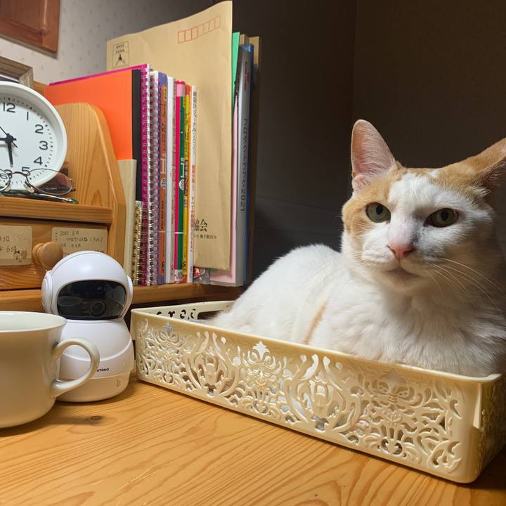 40f9381f 88d2 4ab6 9841 2bf3d66bbb59 1653861121384