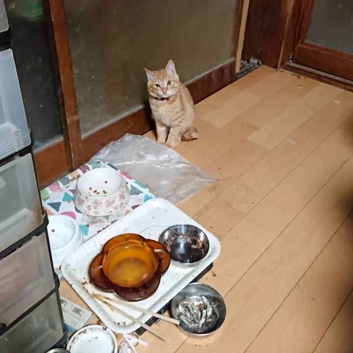 40f95c58 96bd 429e bdf2 8aff85358df1 1634589853115