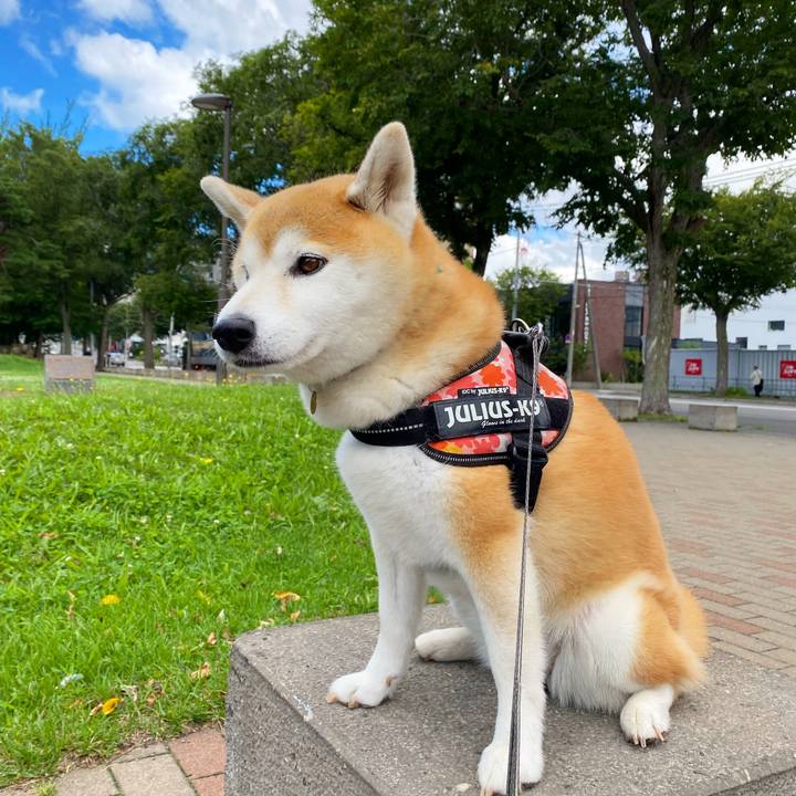 40f97321 39aa 4924 90f9 29712eb895fd 1660871715098