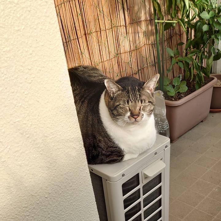 40f978c6 73dc 4129 b983 10da835347dd 1602030554709