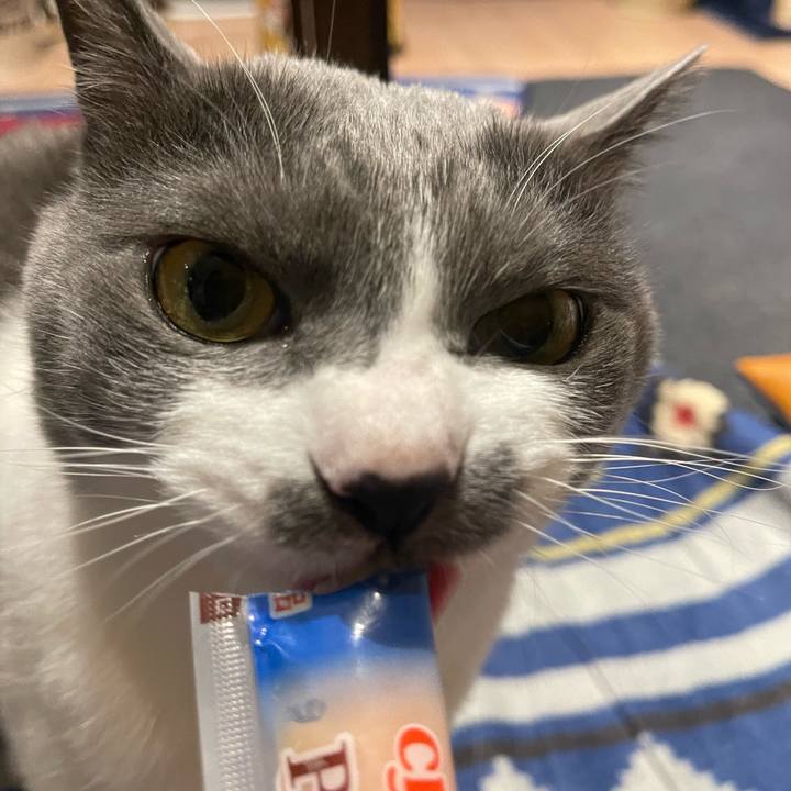 40f98cbb a582 44c8 8557 238a4b030a1e 1683626329429