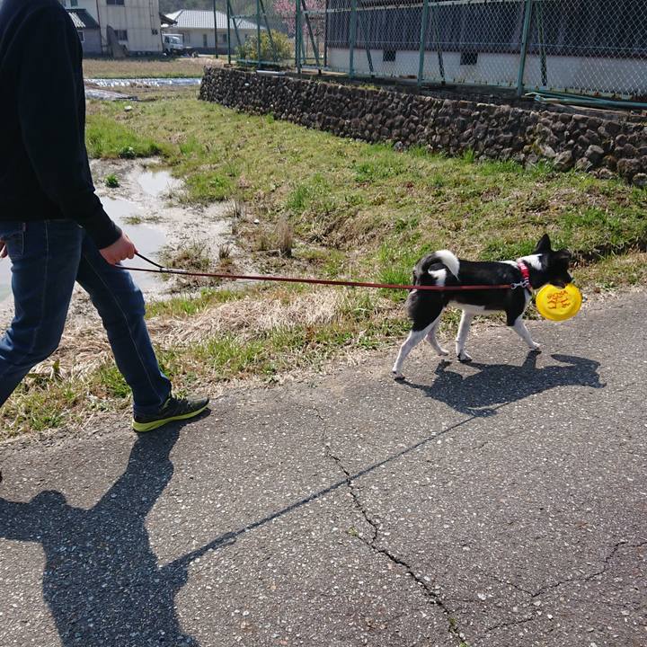 40f9a9c2 6bfd 4566 97f5 fccd671a9a3c 1522059063601