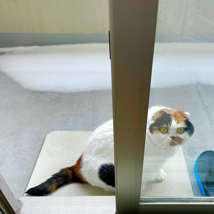 40f9b004 c19e 41c8 9ae5 e35436bd4583 1642205749118